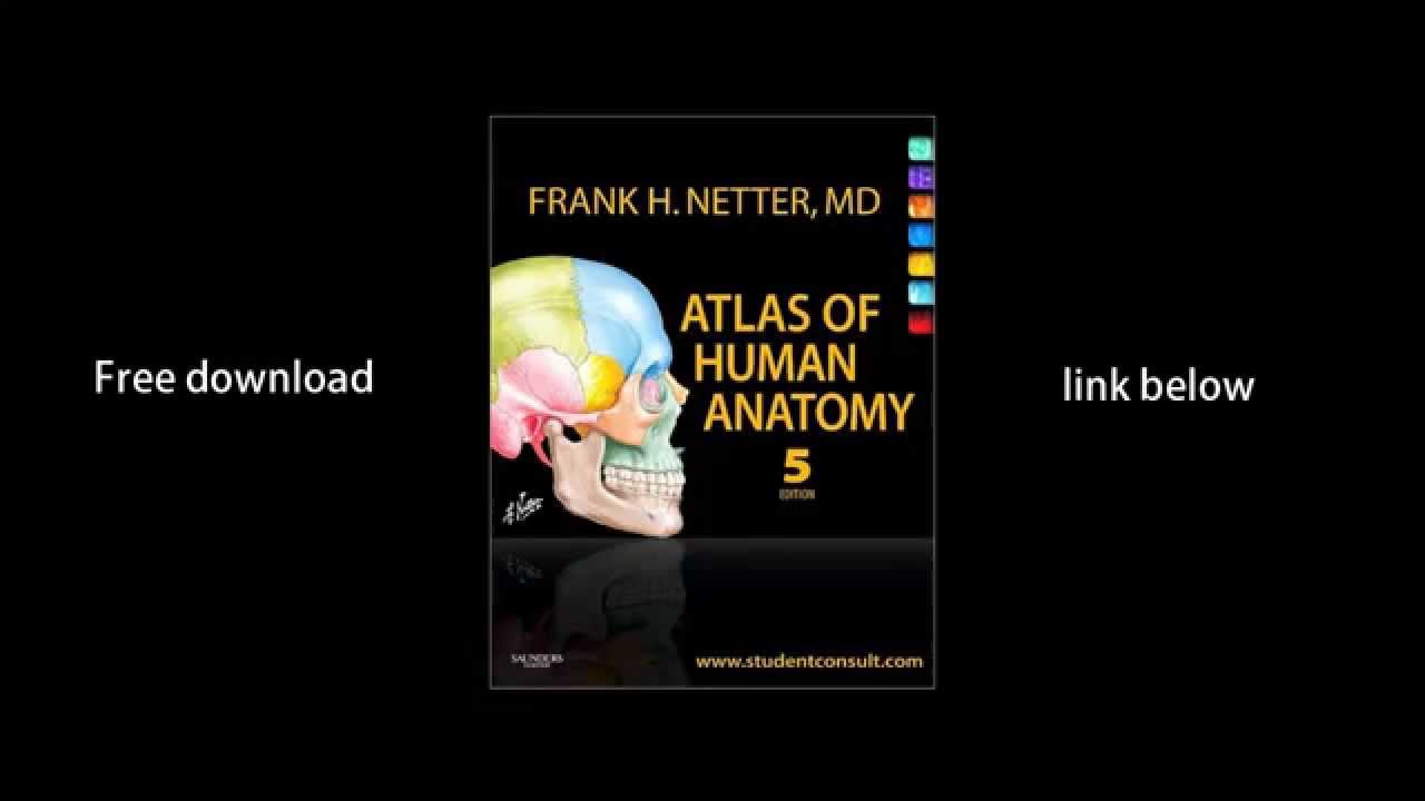 Netter atlas of anatomy download torrent